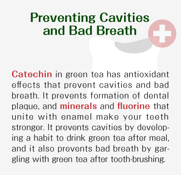 Preventing Cavities and Bad Breath - Catechin in japanese green tea has antioxidant effects that prevent cavities and bad breath. It prevents formation of dental plaque, and minerals and fluorine that unite with enamel make your teeth stronger. It prevents cavities by developing a habit to drink japanese green tea after meal, and it also prevents bad breath by gargling with japanese green tea after tooth-brushing.