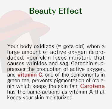 Beauty Effect - Your body oxidizes (= gets old) when a large amount of active oxygen is produced; your skin loses moisture that causes wrinkles and sag. Catechin suppresses the production of active oxygen, and vitamin C, one of the components in japanese green tea, prevents pigmentation of melanin which keeps the skin fair. Carotene has the same actions as vitamin A that keeps your skin moisturized.