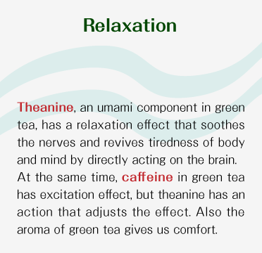 Relaxation - Theanine, an umami component in japanese green tea, has a relaxation effect that soothes the nerves and revives tiredness of body and mind by directly acting on the brain. At the same time, caffeine in japanese green tea has excitation effect, but theanine has an action that adjusts the effect. Also the aroma of japanese green tea gives us comfort.